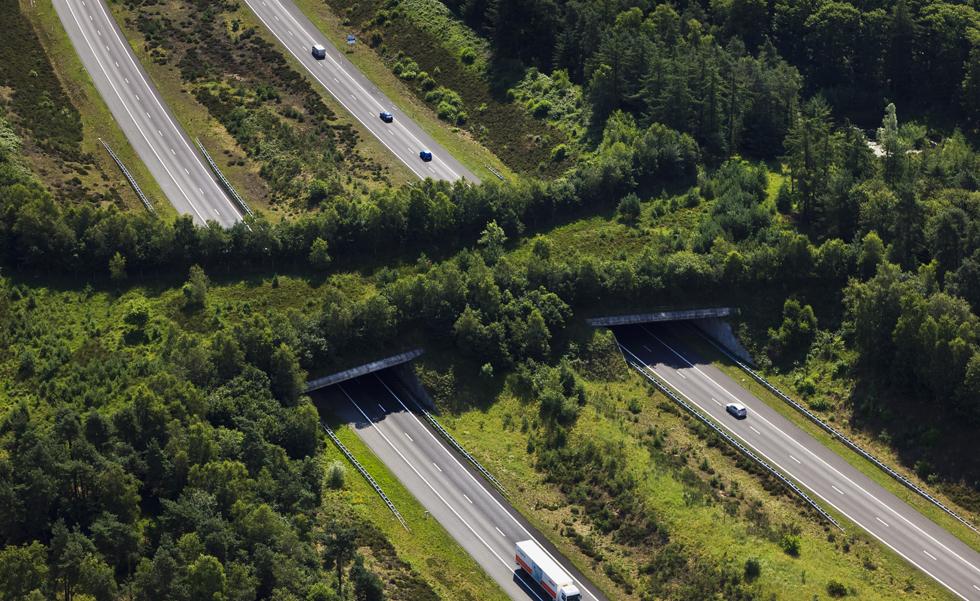 Photo of a wildlife passage over a highway